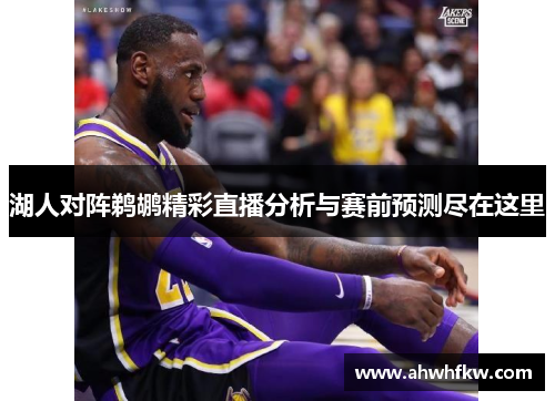 湖人对阵鹈鹕精彩直播分析与赛前预测尽在这里