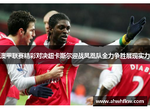 澳甲联赛精彩对决纽卡斯尔迎战凤凰队全力争胜展现实力