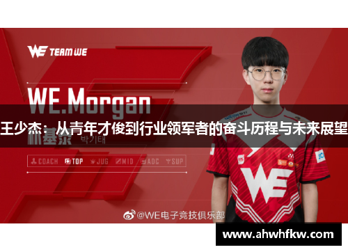 王少杰：从青年才俊到行业领军者的奋斗历程与未来展望